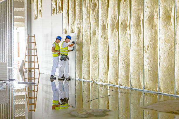 Best Wall Insulation Installation  in Sandia Heights, NM